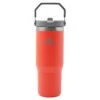 Stanley The IceFlow Flip Straw Tumbler 10-09993-195, Guava, Trinkflasche, 890 Ml 2 Stanley The IceFlow Flip Straw Tumbler 10-09993-195, Guava, Trinkflasche, 890 Ml -Stanlley Verkaufe PI10 09993 195 01 stanley